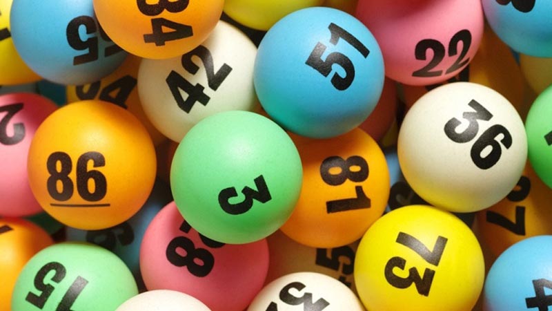 Nuôi lô khung đúng cách