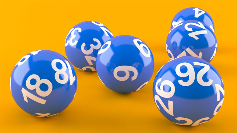 Phương pháp nuôi lô khung theo lô gan