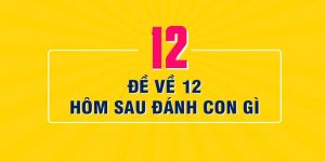 Lưu ý cần biết khi soi cầu đề về 12 mai đánh lô gì