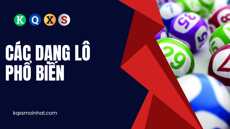 Các dạng lô phổ biến