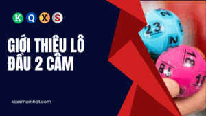 Giới thiệu lô đầu 2 câm