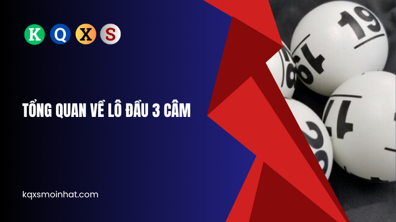 Tổng quan về lô đầu 3 câm