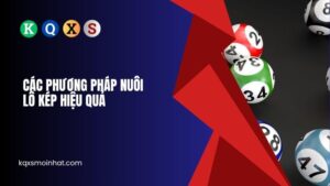 Phương pháp nuôi lô kép KQXS hiệu quả