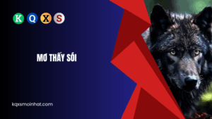 Giải mã mơ thấy sói đánh con gì đổi vận