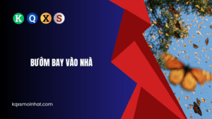 Bướm bay vào nhà giải mã điềm báo