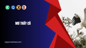 Giải mã mơ thấy cò đánh con gì chiều sổ 2025