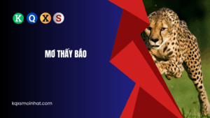 Giải mã mơ thấy báo đánh con gì