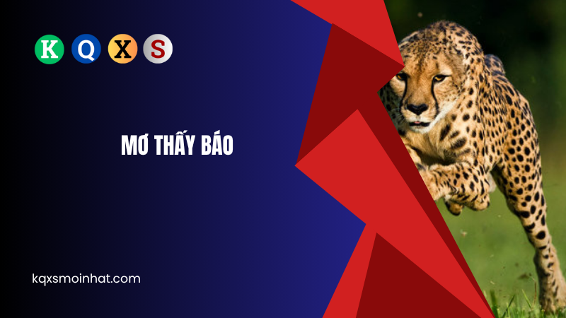 Giải mã mơ thấy báo đánh con gì