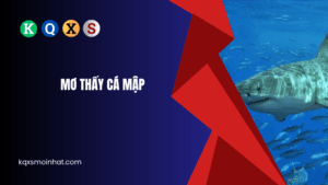 Giải mã mơ thấy cá mập đánh con gì