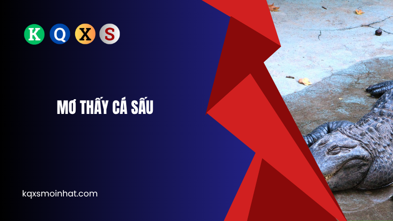 Giải mã mơ thấy cá sấu đánh con gì?