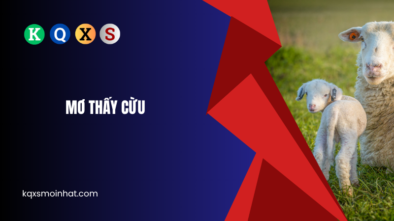 Giải mã mơ thấy cừu đánh con gì may mắn