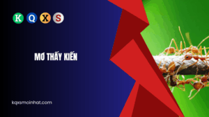 Giải mã mơ thấy kiế đánh con gì