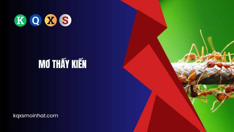 Giải mã mơ thấy kiế đánh con gì