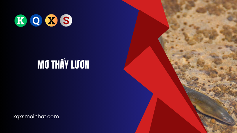 Giải mã mơ thấy lươn đánh con gì