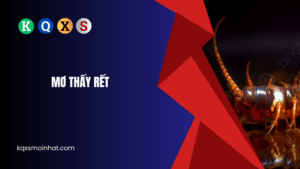 Giải mã mơ thấy rết đánh con gì