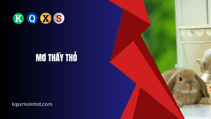 Giải mã mơ thấy thỏ đánh con gì