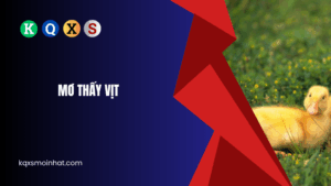 Giải mã mơ thấy vịt