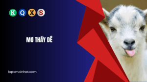 Giải nghĩa mơ thấy dê đánh con gì?