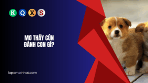 Mơ thấy chó đánh con gì?