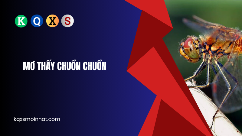 Mơ thấy chuồn chuồn