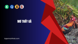 Mơ thấy gà đánh con gì?