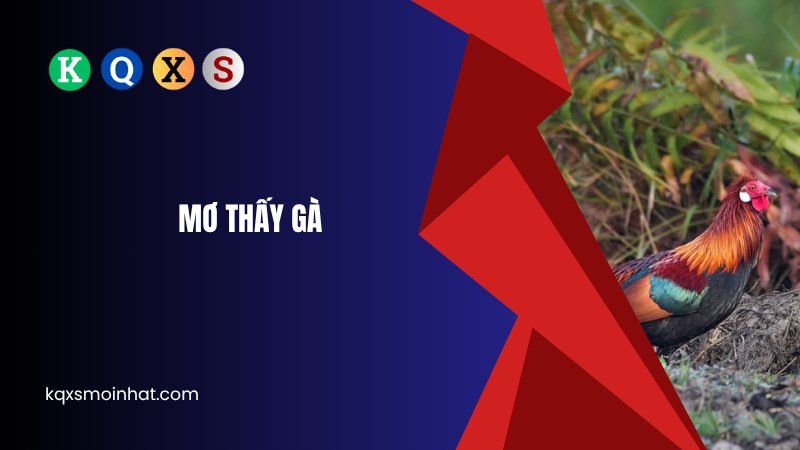 Mơ thấy gà đánh con gì?