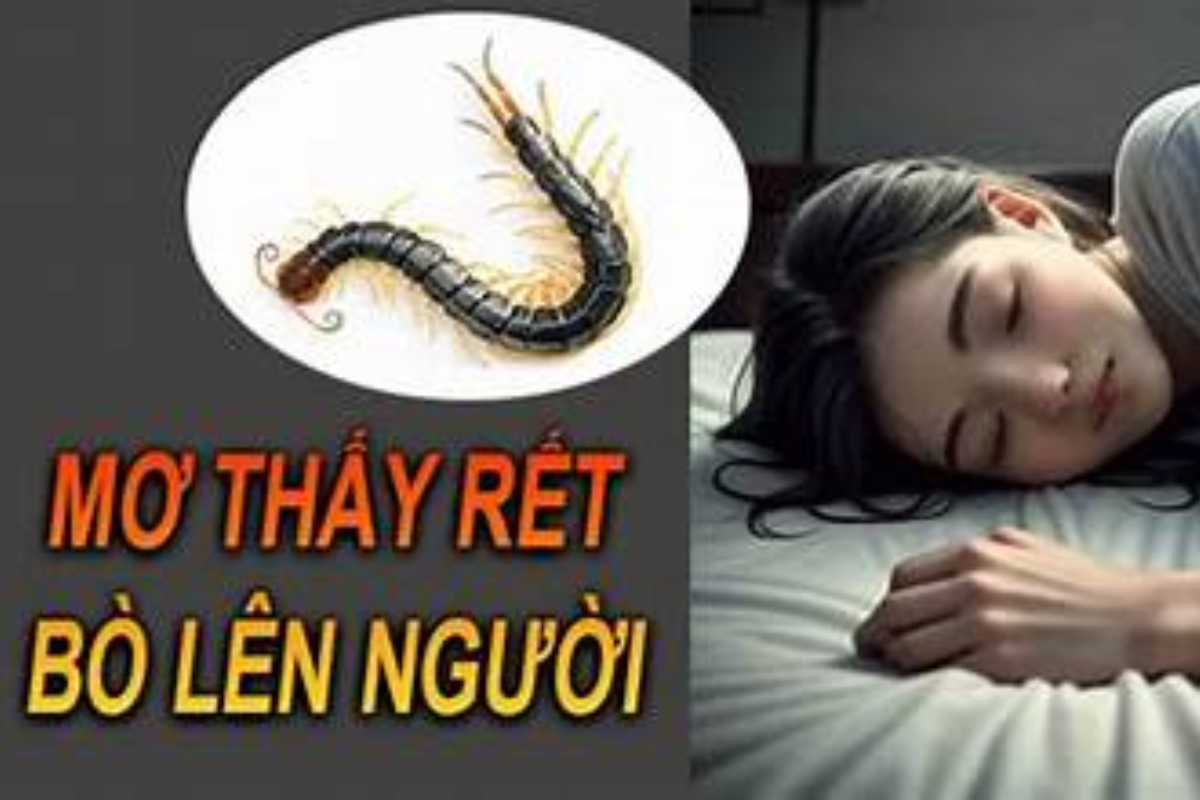 Mơ thấy rết bò trên người