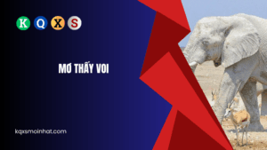 Mơ thấy voi đánh con gì