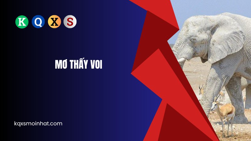 Mơ thấy voi đánh con gì