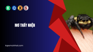 Mơ thấy nhện đánh con gì?