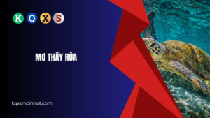 Mơ thấy rùa đánh con gì?