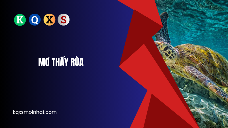 Mơ thấy rùa đánh con gì?