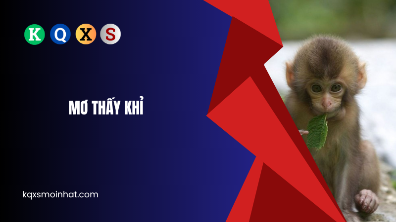 Giải mã mơ thấy khỉ đánh con gì