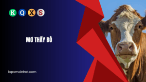 Ý nghĩa mơ thấy bò