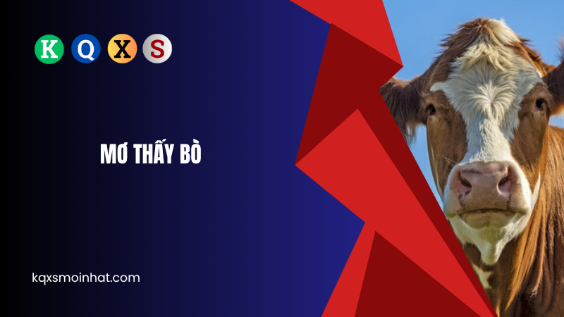 Ý nghĩa mơ thấy bò