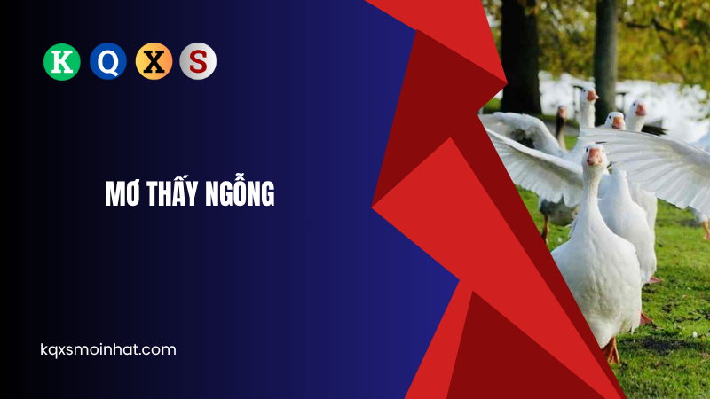 Ý nghĩa mơ thấy ngỗng