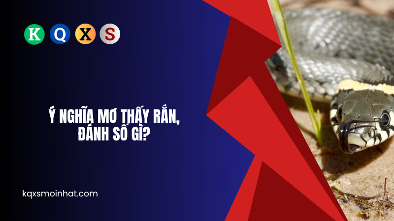 Ý nghĩa mơ thấy rắn đánh số gì?